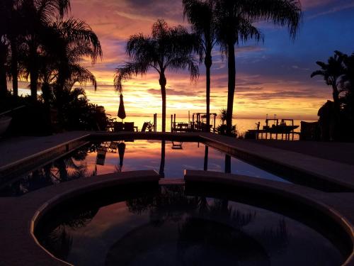 Luxury Gulf Front, No Storm Damage, Specials for Nov and Dec of 2024 in Palm Harbor, USA