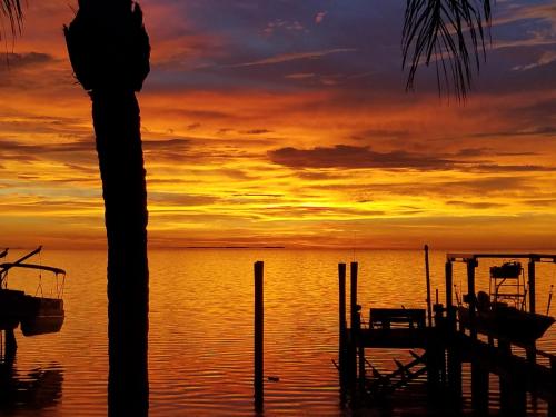 Luxury Gulf Front, No Storm Damage, Specials for Nov and Dec of 2024 in Palm Harbor, USA