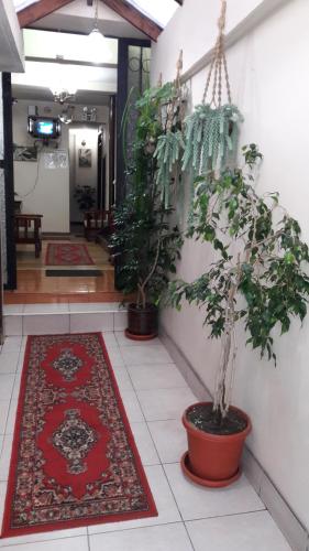 Hostal Santa Maria Gracia in ลา ปราเดรา