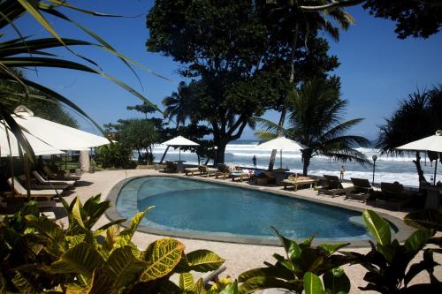Swimming pool, Pondok Pitaya Hotel in Tabanan