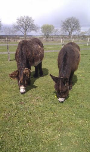 外部景觀, Grimmershof in 許特根瓦爾德