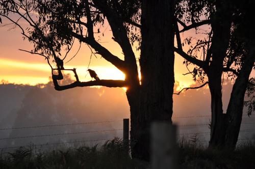 Tallawarra Homestead