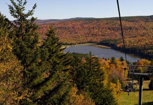Allegheny Springs - image 3