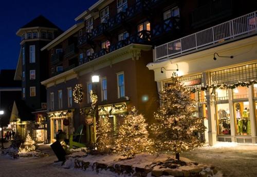 Inn at Snowshoe - image 4