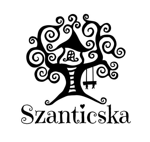  Szanticska- Domokos ház, Pension in Abaújlak bei Tornaszentandrás