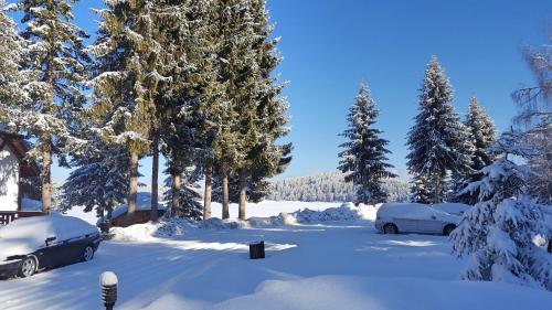Romantica Forest Holiday Village - image 4