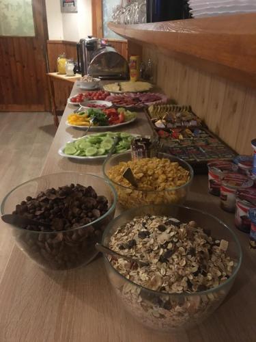 餐饮, 帕提赞膳食公寓酒店 (Penzion Partizan) in 维索克塔特雷