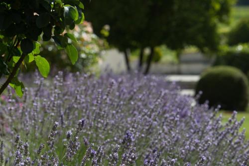 Chateau du Palanquey & SPA