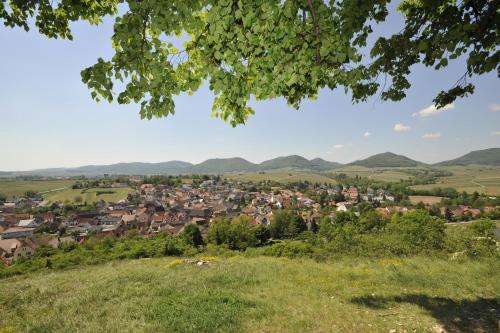 Wein-Domizil Brennofen - image 3