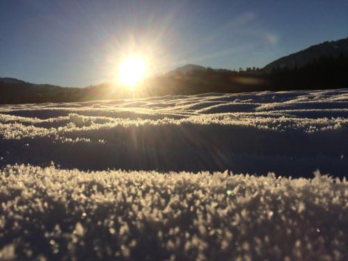 Filzenhof - Apartment - Kitzbühel