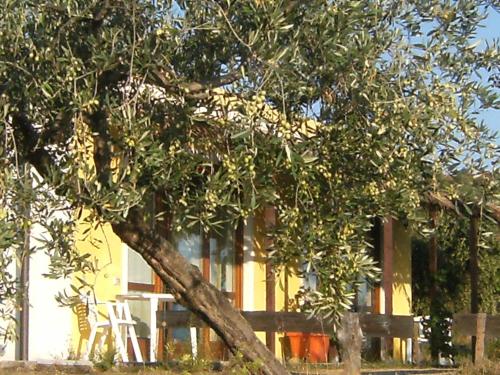 B&B Casa per ferie VillaggioCarovana