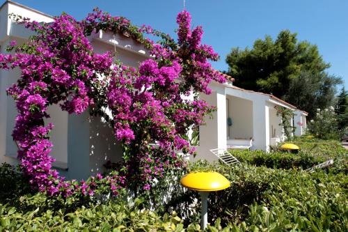 Residence Delfino - image 8