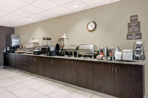 Microtel Inn & Suites by Wyndham Williston - image 2