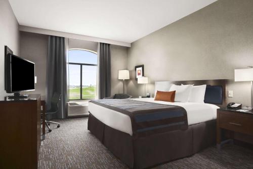One-Bedroom Queen Suite - Non-Smoking