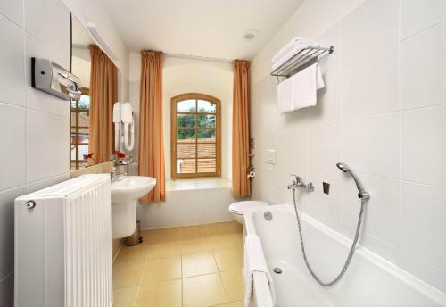 Hotel Mlýn - image 4