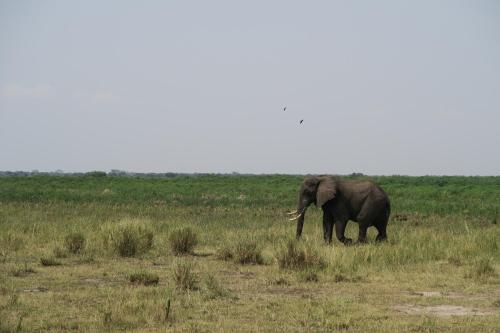 Kasenyi Lake Retreat & Campsite