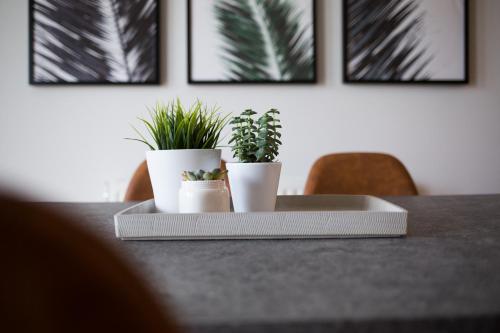 Stylish and Spacious 2BD - Thiseio by UPSTREET - image 4