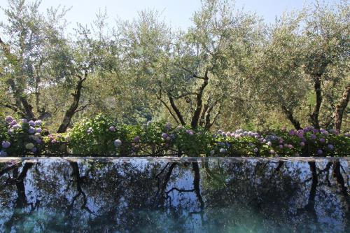 Villa with Private Pool image 4