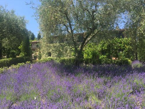 Macennere by Salogi Villas - image 3