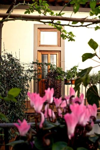 Faenza Novella, Florencie (fotografie 8)