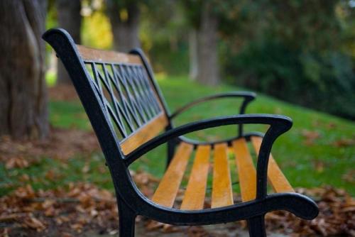 بيت الضيافة أون ذا ماونت