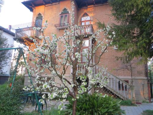 Villa Elisabetta Venice