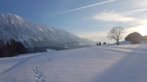 Apartmán Tauplitz