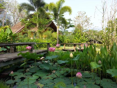 Pura Vida Pai Resort