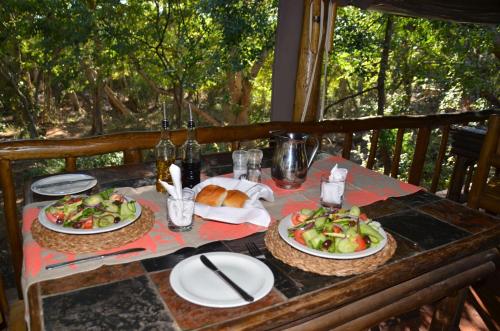 Moholoholo Forest Camp, Hoedspruit