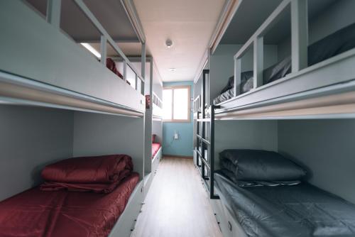 Daegu Midtown Hostel Room Type - Single Bed in Female Dormitory Room