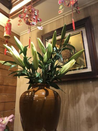 Chinshan Villa – Alishan, IL
