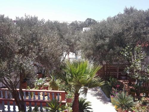 Dar ezzitouna, Oualidia