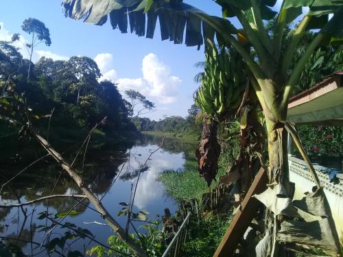 Alrededores, Guesthouse La Ressource in Domburg