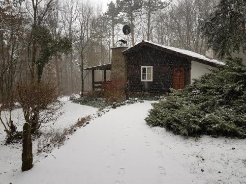 Chalet des pins d'Autriche