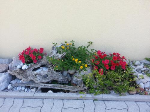 Apartments Villa Krasa - image 5