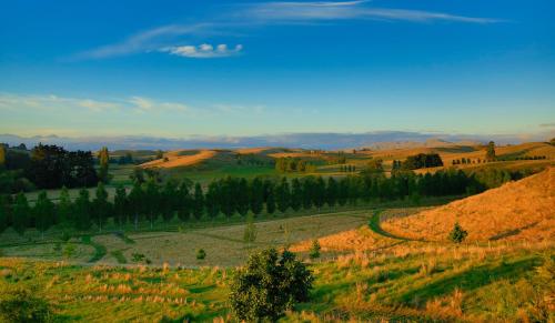 Tree House Lodge Bed & Breakfast Tree House Lodge Bed & Breakfast