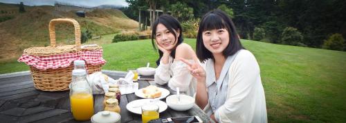 Tree House Lodge Bed & Breakfast Tree House Lodge Bed & Breakfast