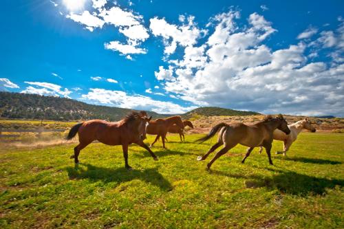 Boulder Mountain Guest Ranch