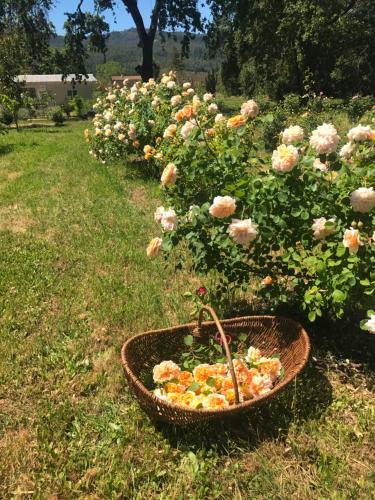 Napa Farmhouse Inn - image 26