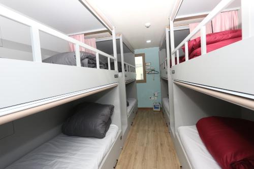 Daegu Midtown Hostel Room Type - Single Bed in Female Dormitory Room