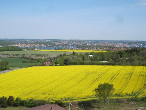 Tåsinge B&B - image 11