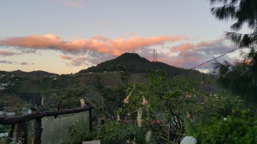 景觀