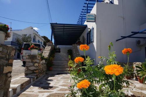 Foto - Adonis Hotel Naxos