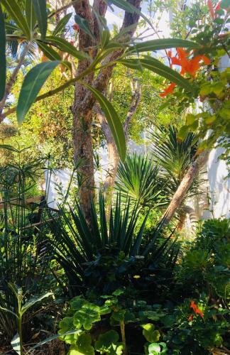Matina Hotel - image 12