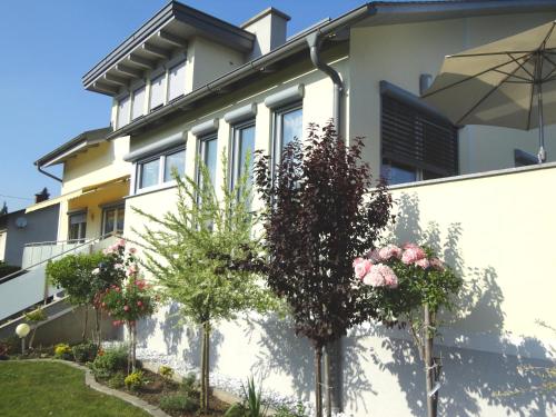  Appartementhaus Elfi, Unterkunft in Barnbäch