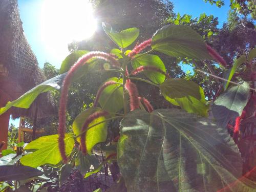 coin perdu guest house in Cayes-Jacmel