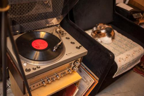 ペラダイズ ホテル