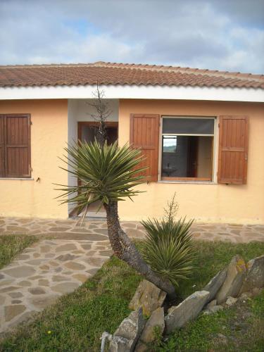 Agriturismo Depalmas - Nodigheddu