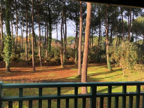 Golf pinsolle