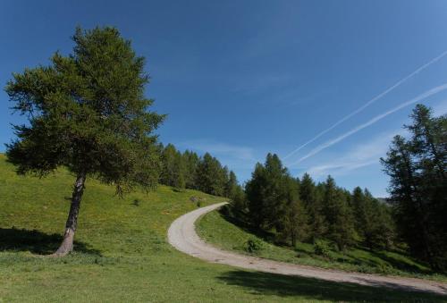 Les Hauts Des Auches